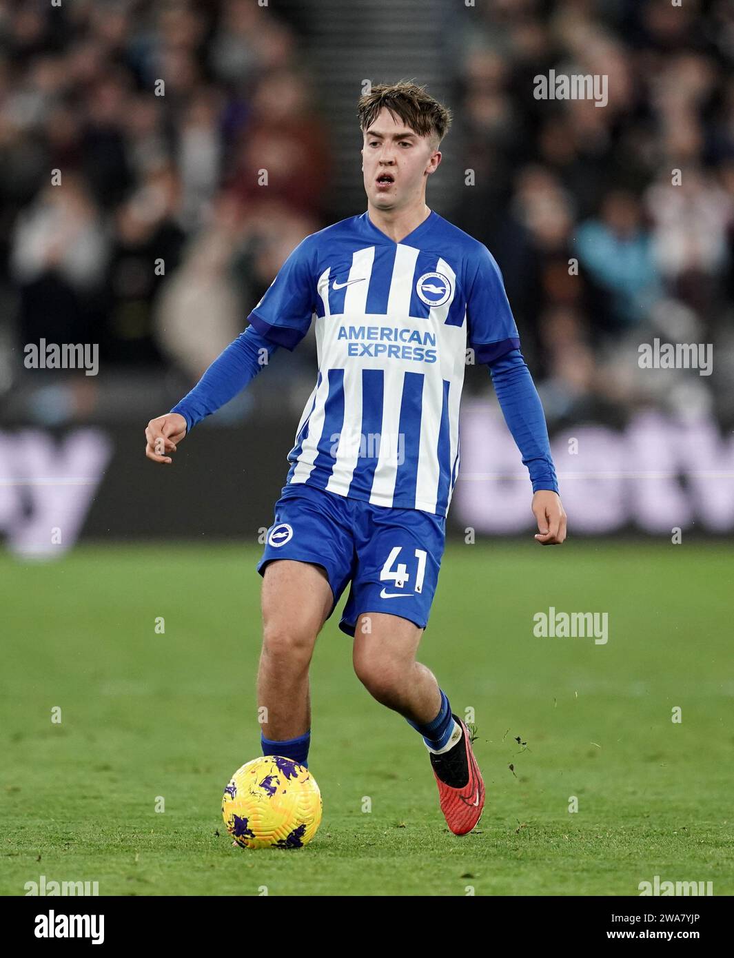 Brighton and hove albion's jack hinshelwood during the premier league