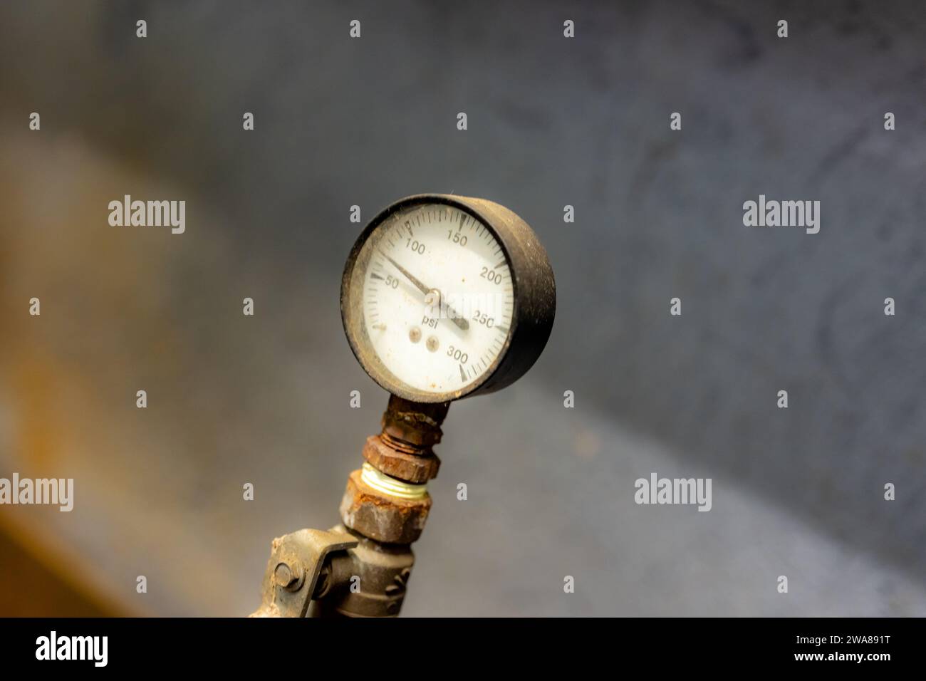 The interior of a mechanical room and a domestic potable water system