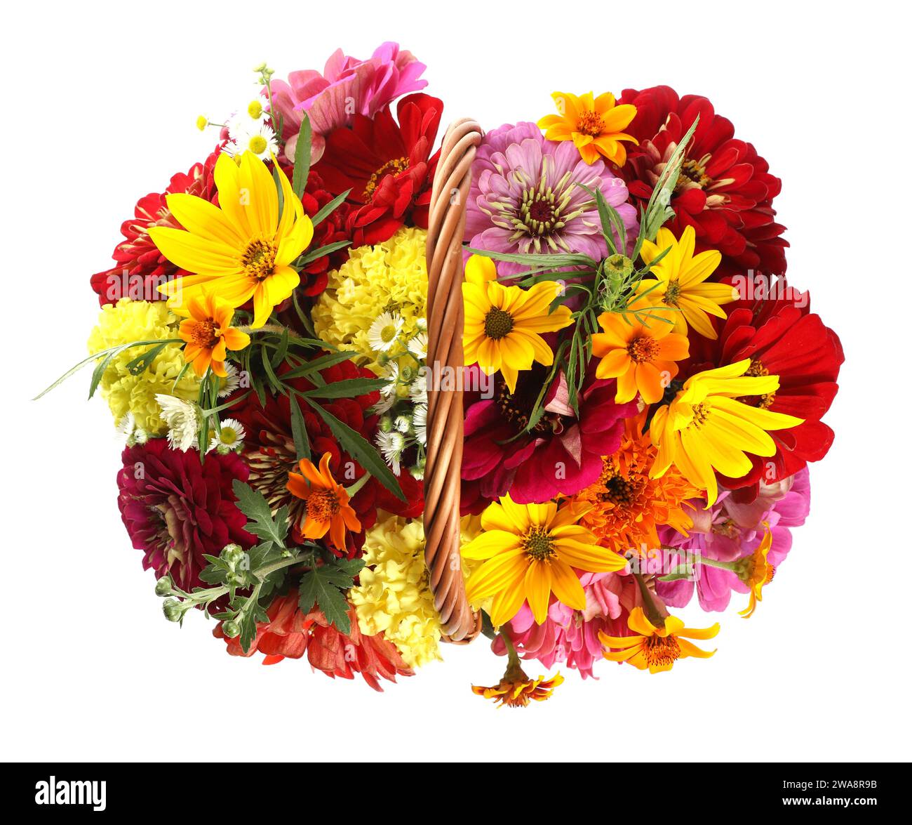 Beautiful wild flowers in wicker basket isolated on white, top view ...