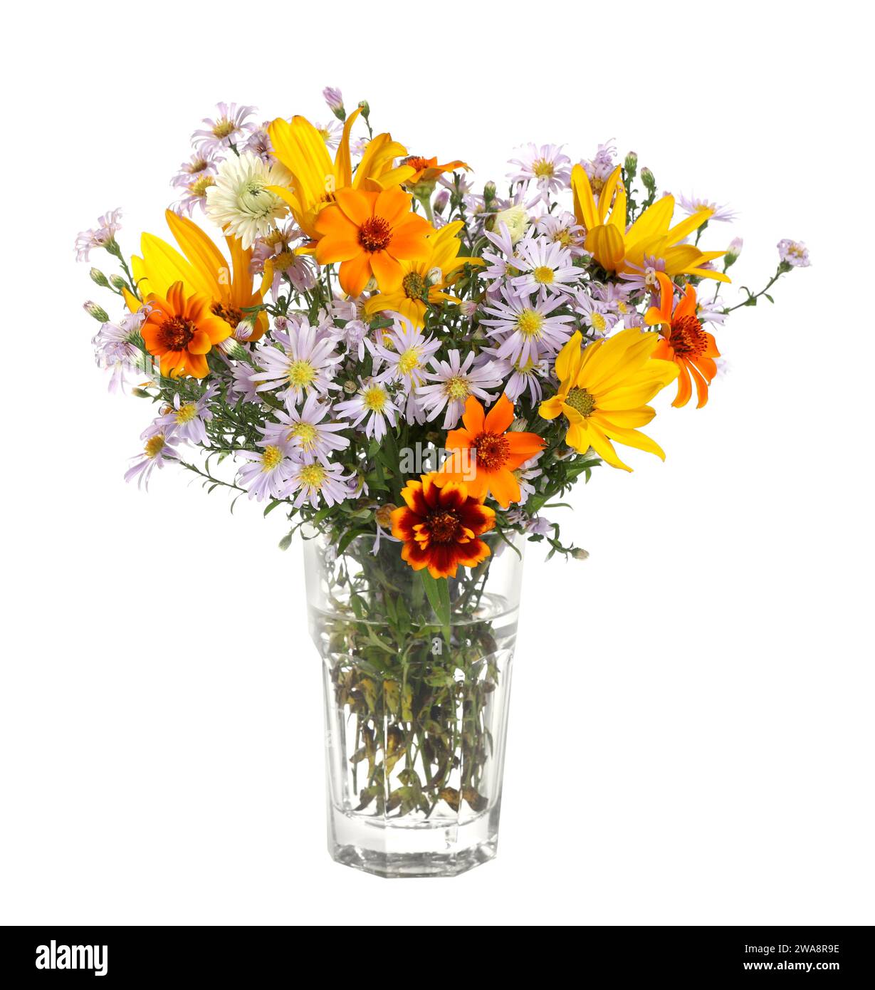 Beautiful wild flowers in vase isolated on white Stock Photo - Alamy