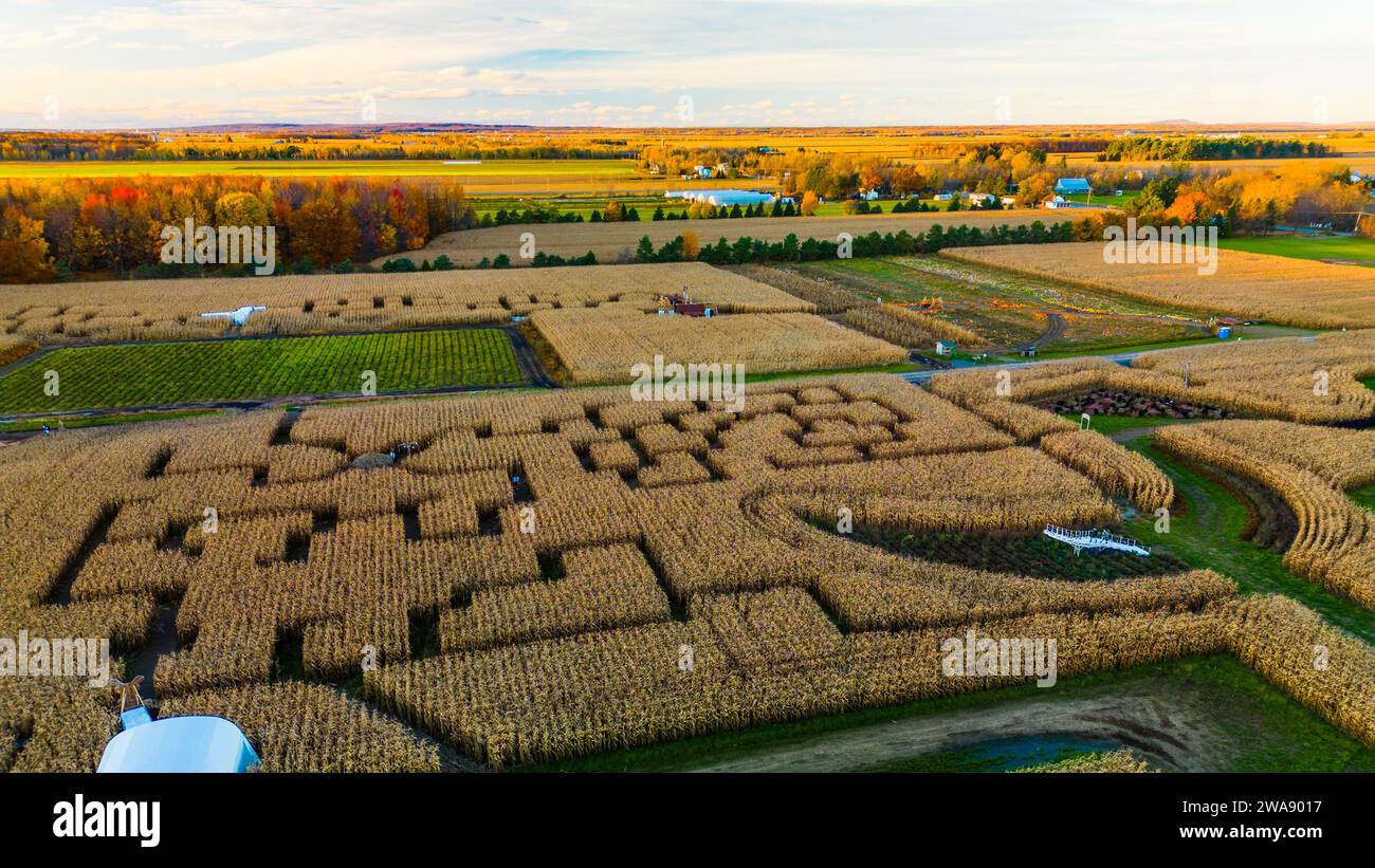 Quebec, Canada Oct. 29 2023 Panorama aeriel photo of Corn field maze
