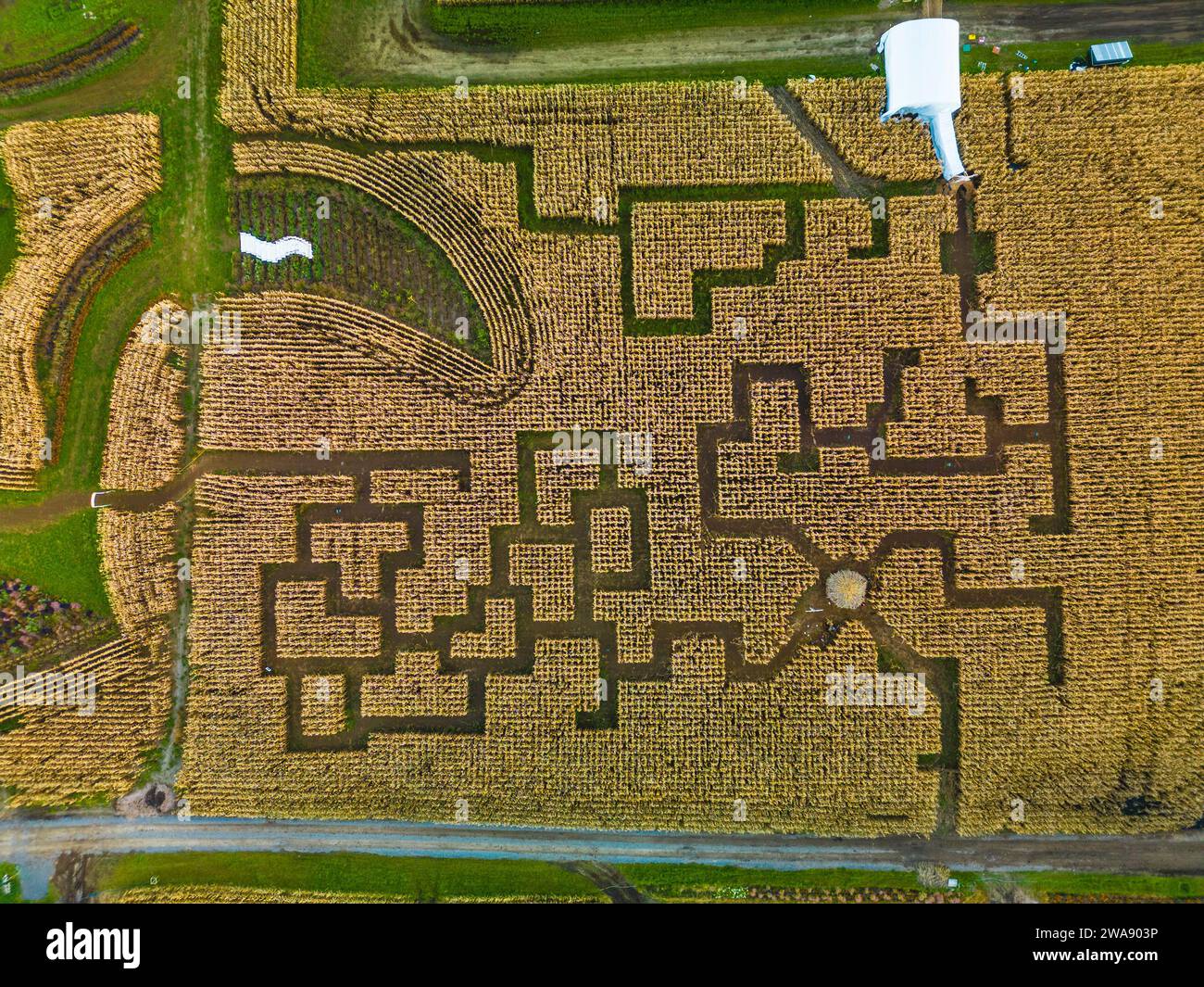 Quebec, Canada - Oct. 29 2023: Panorama aeriel photo of Corn field maze in quebec in autumn Stock Photo