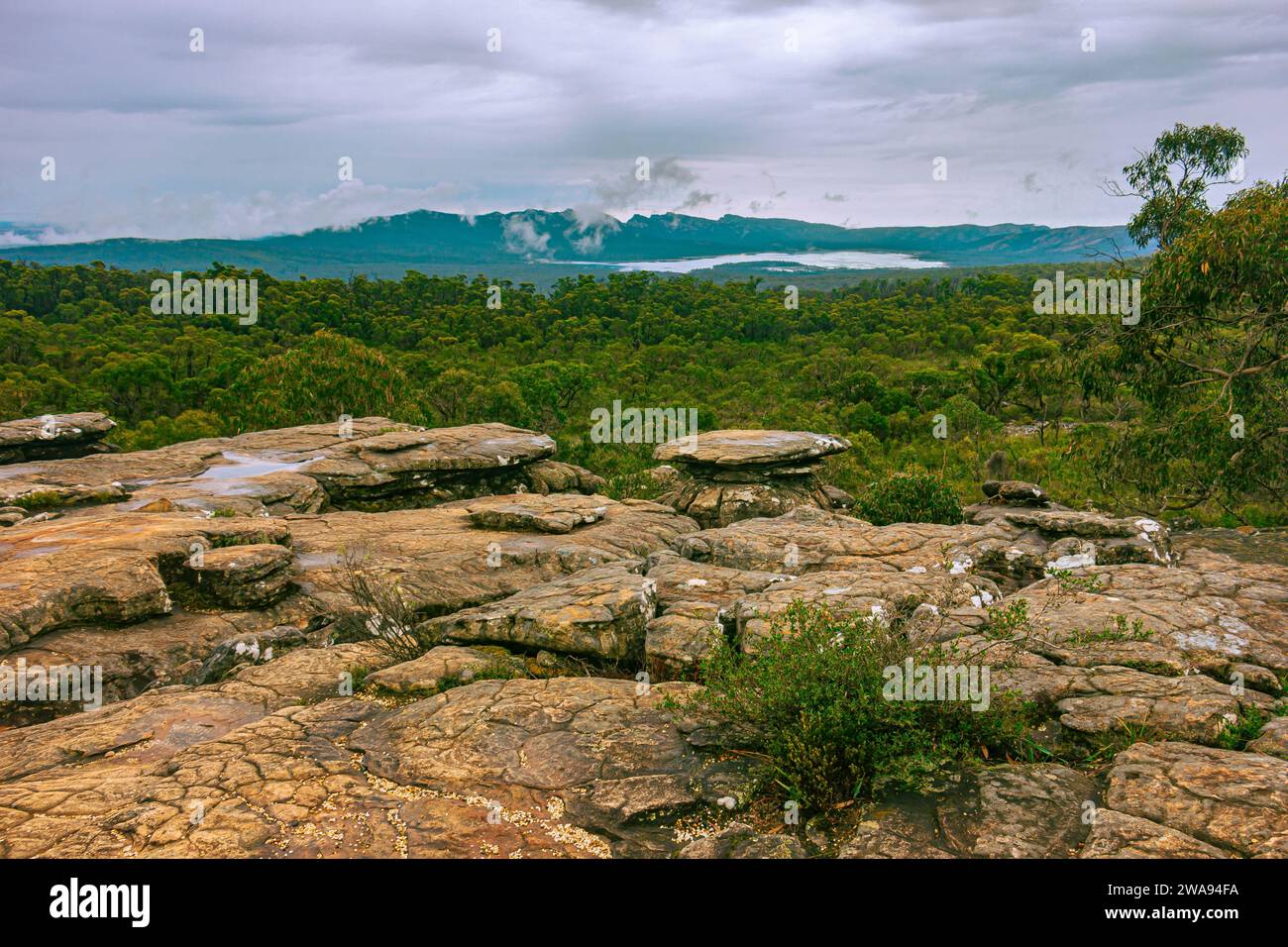 The sandstone cliff of Reeds Lookout in Grampians National Park,Victoria, Australia. Stock Photo