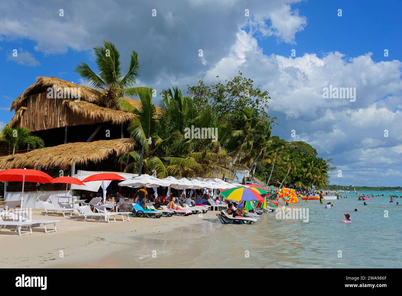 People enjoying the sun on a tropical beach with palm trees and