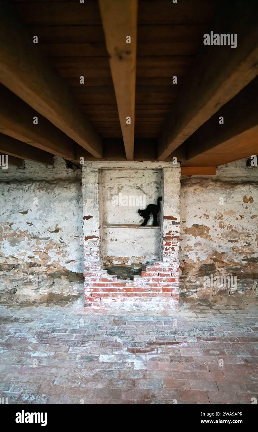 Inside The Edgar Allan Poe National Historic Site in Philadelphia