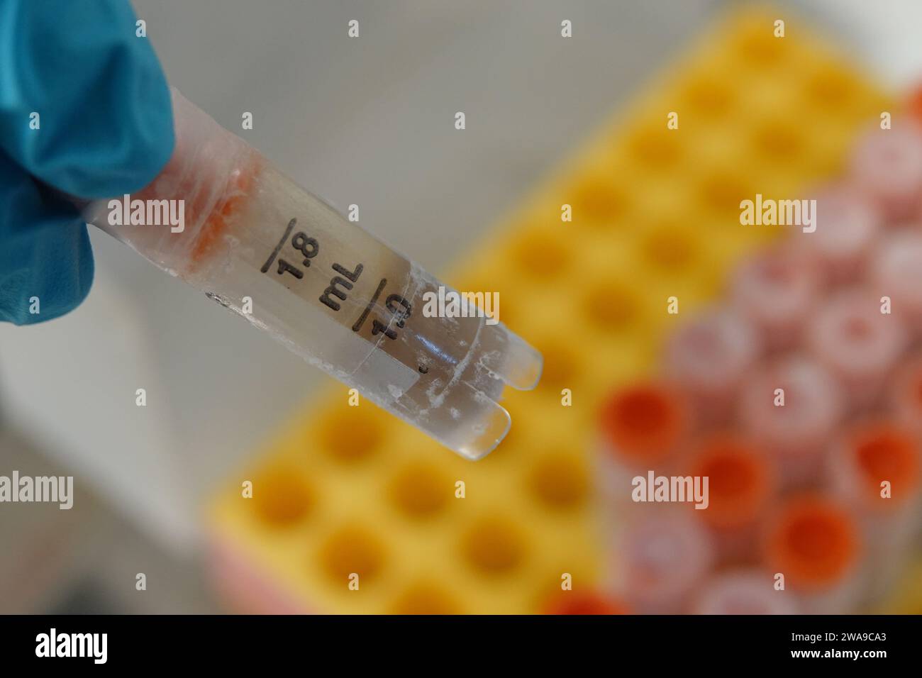 PRODUCTION - 29 November 2023, Zurich, Zürich: A frozen stool sample in a jar. Swiss scientists want to create a vault for intestinal bacteria from all over the world. (to dpa 'A vault for human feces: project aims to save gut bacteria') Photo: Christiane Oelrich/dpa Stock Photo