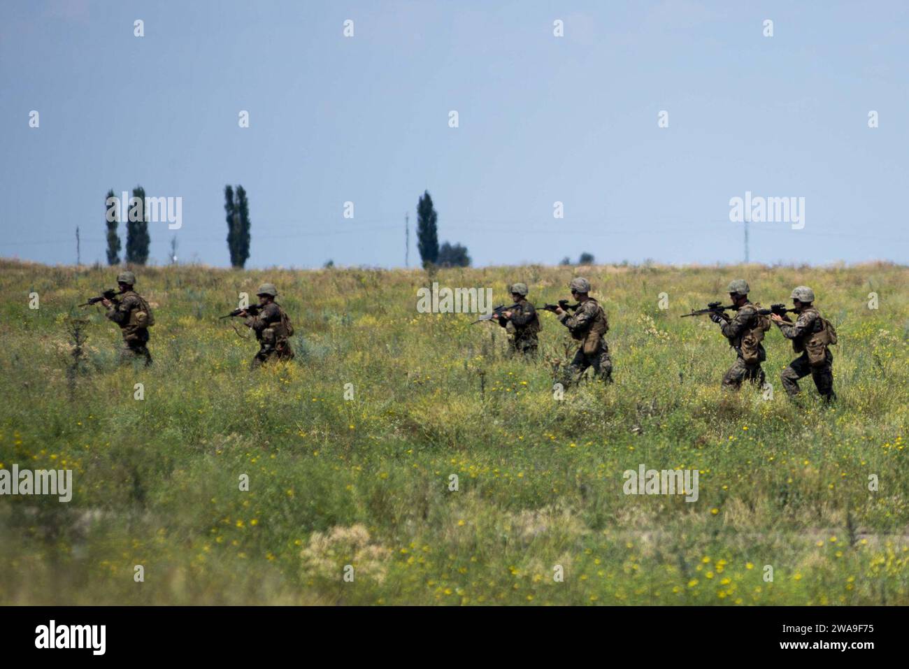US military forces Stock Photo - Alamy