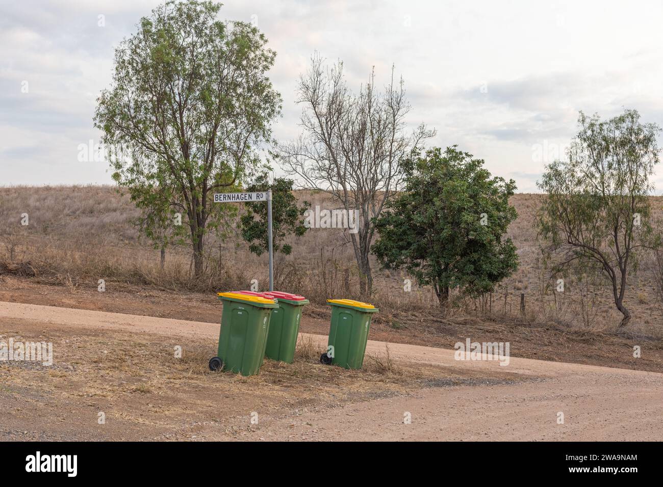 Bins in Nature Stock Photo
