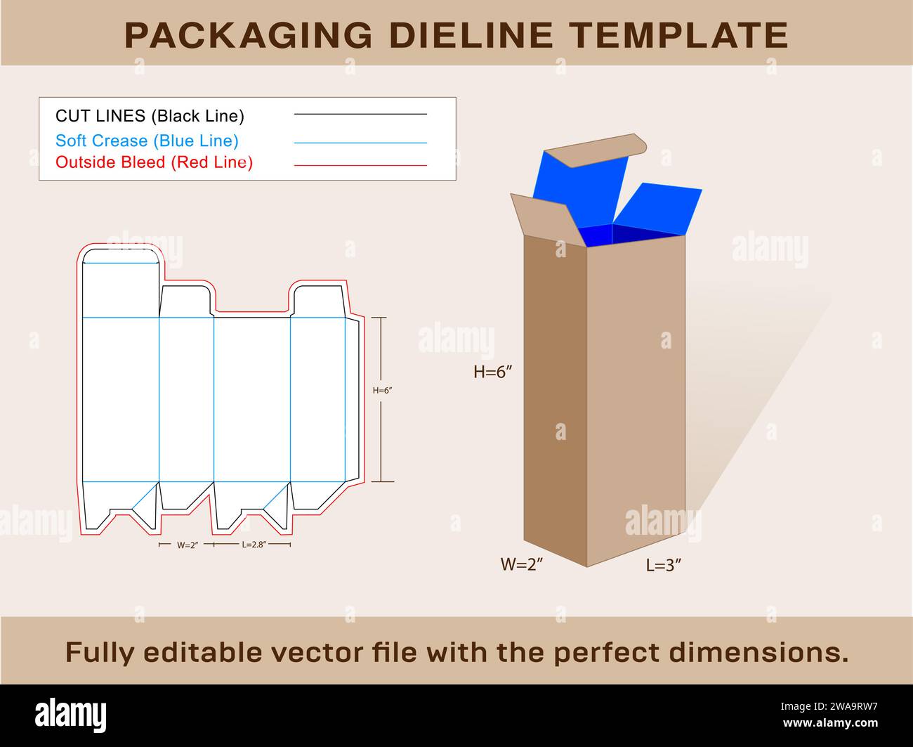 Auto Lock Box Dieline Template, Vector File Stock Vector Image & Art