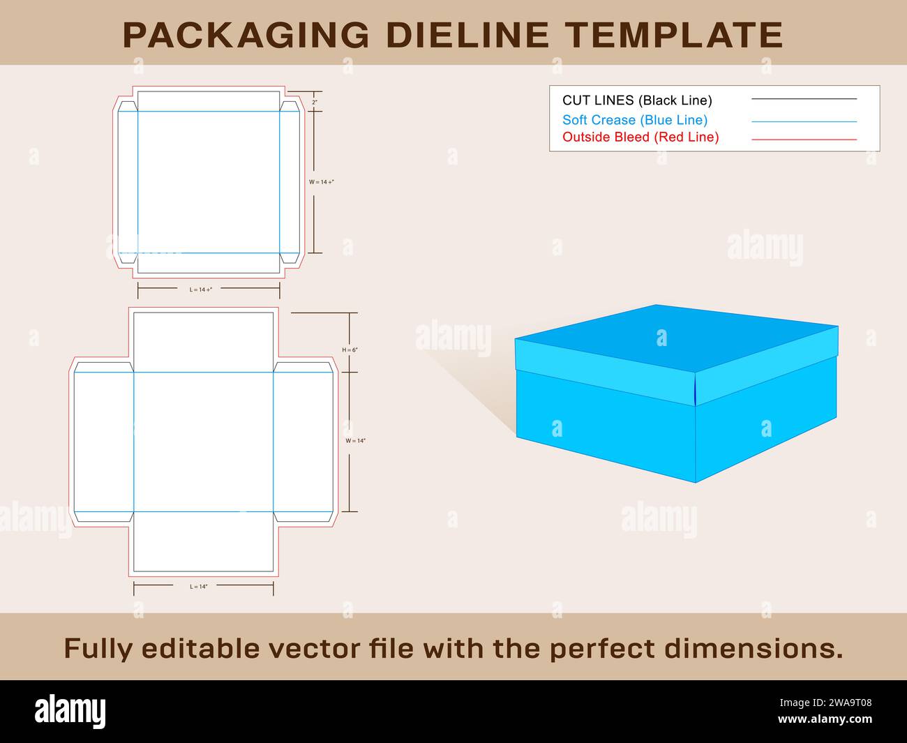 Box With Lid, Dieline Template Editable Vector File and 3d box Stock Vector