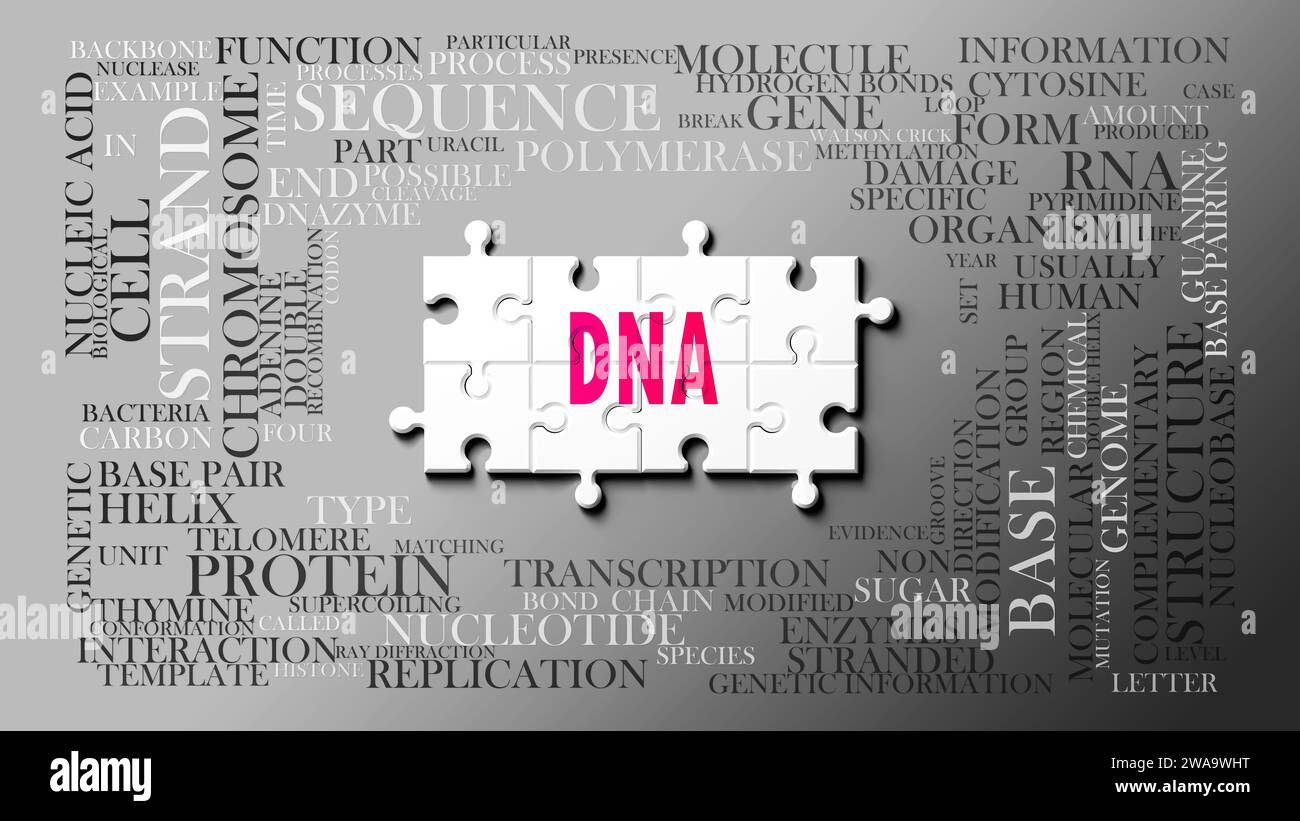Dna - a complex subject, related to many concepts. Pictured as a puzzle and a word cloud made of most important ideas and phrases related to dna.,3d i Stock Photo