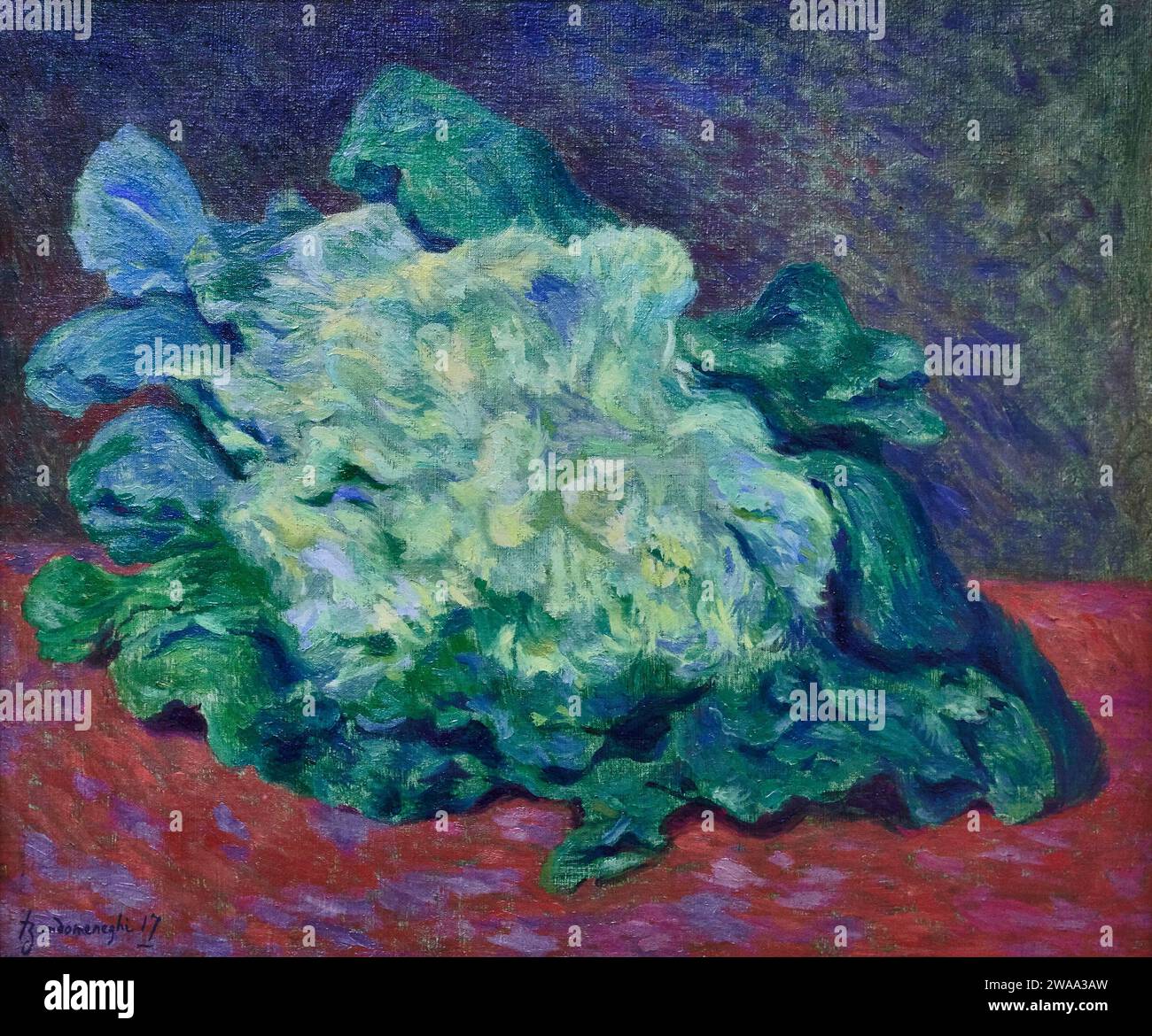 Cavolfiore  - olio su tela - Federico Zandomeneghi - 1917 -  Mantova, Collezioni Civiche del Museo di Palazzo Te Stock Photo