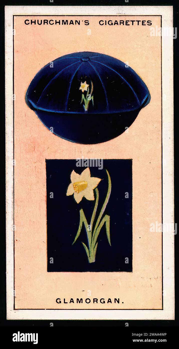 Cricket Colours - GLamorgan - Vintage Cigarette Card Illustration Stock Photo