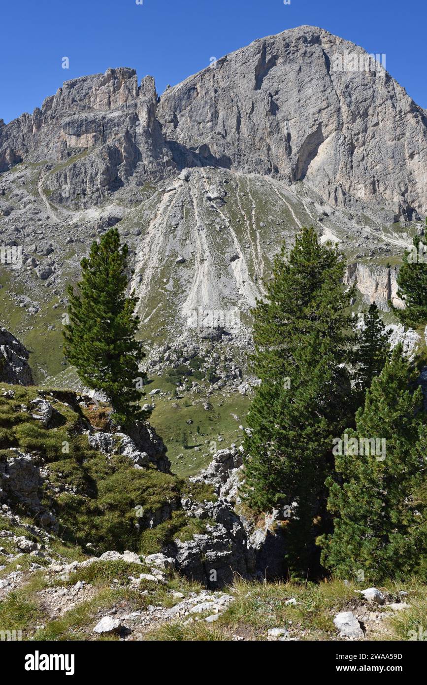 Hiking in the Dolomites, Italy Stock Photo - Alamy