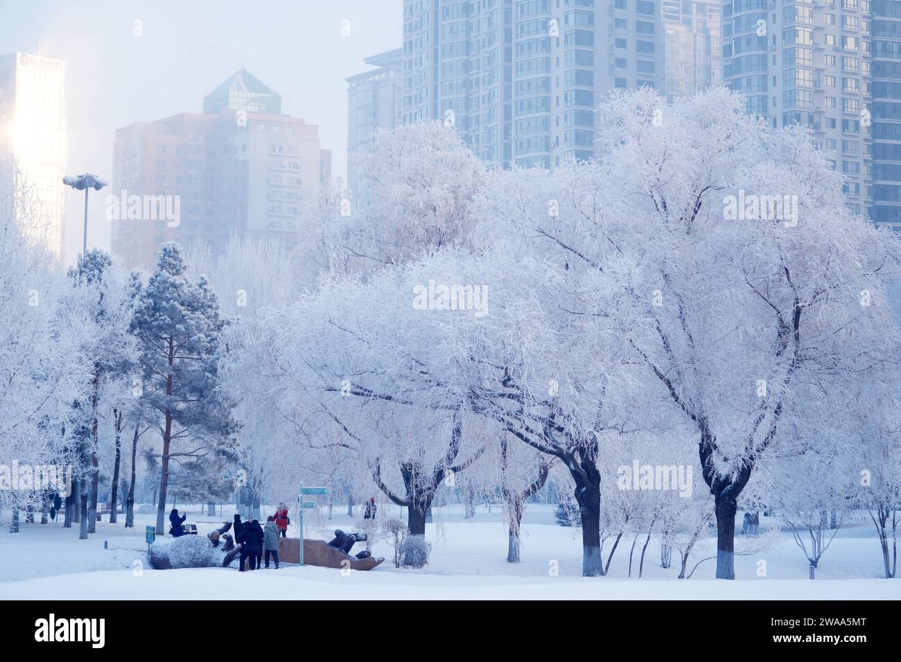 Harbin, China's Heilongjiang Province. 3rd Jan, 2024. People take ...