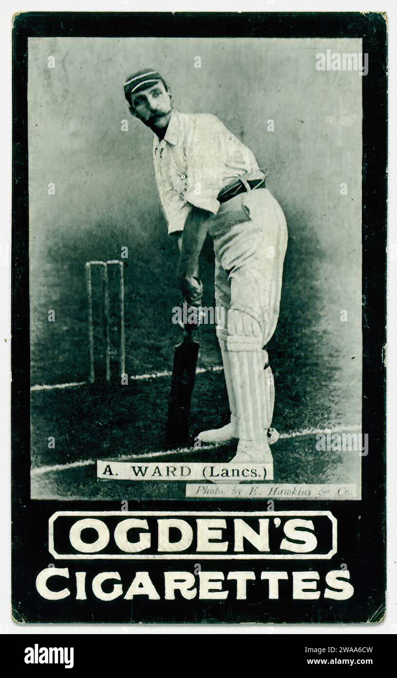 Cricketer  Ward - Vintage Cigarette Card Illustration Stock Photo
