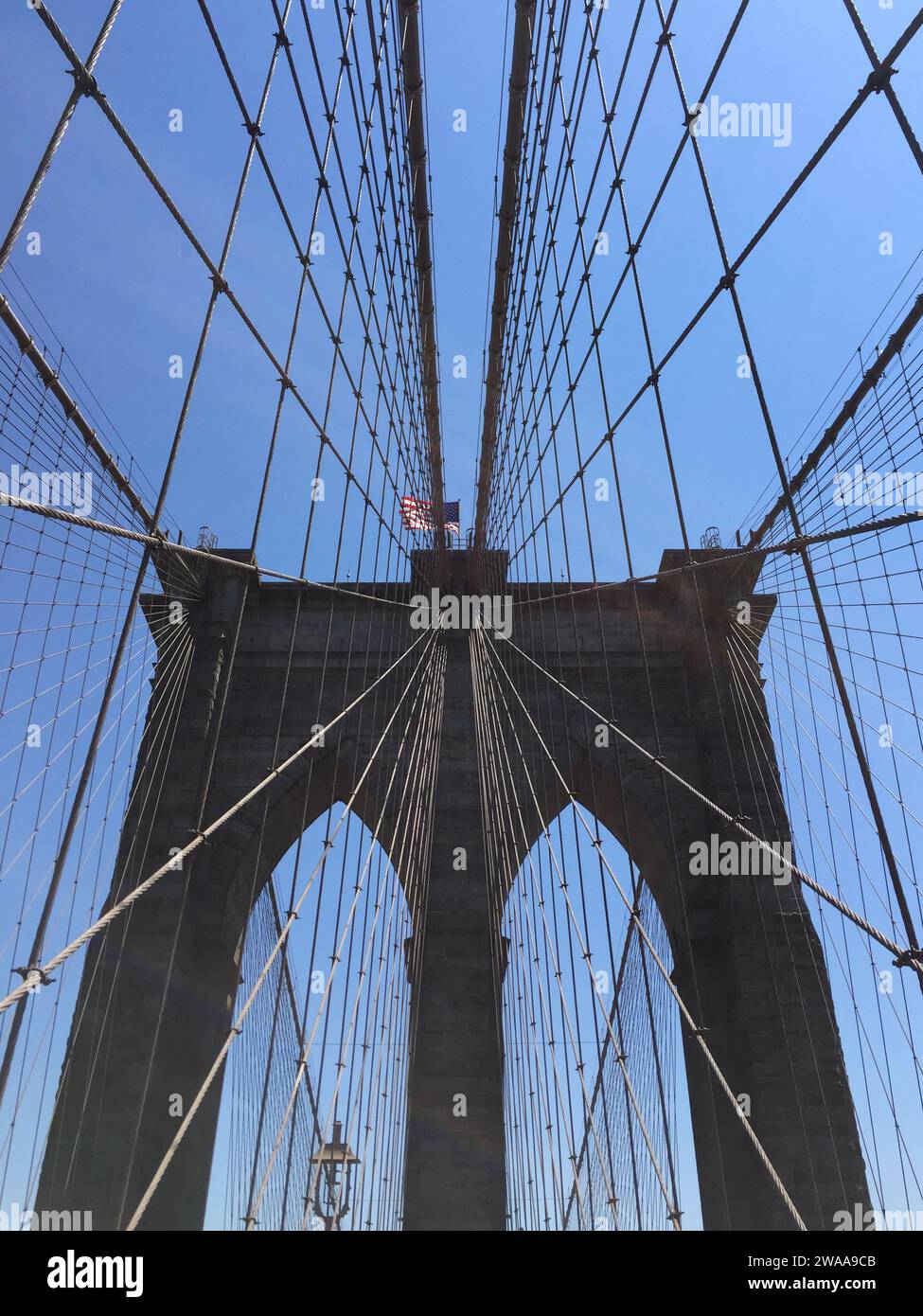 The Brooklyn Bridge stretches above, its iconic cables forming a ...