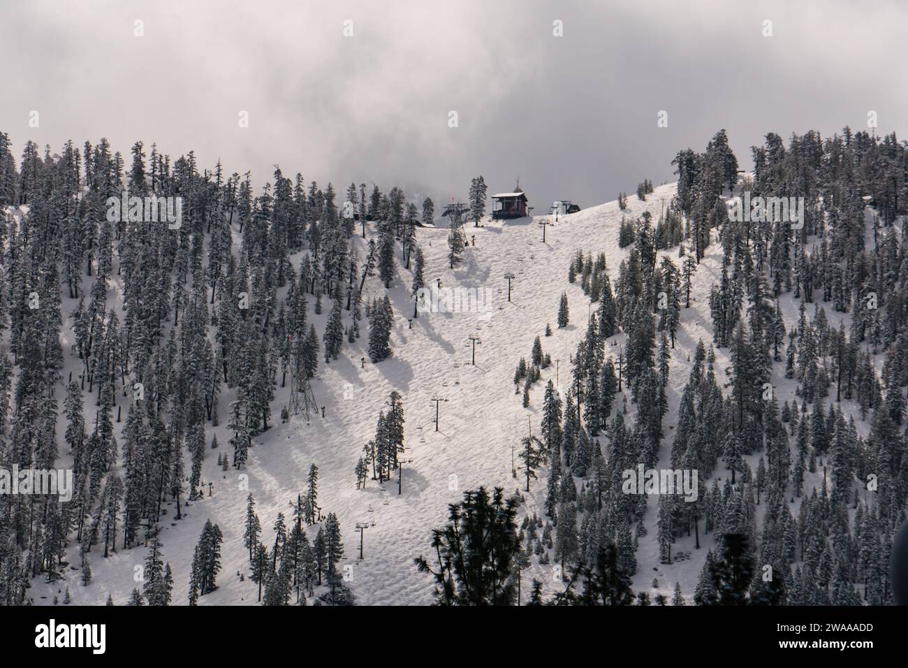 Heavenly Mountain resort at Lake Tahoe, California, top of the slope