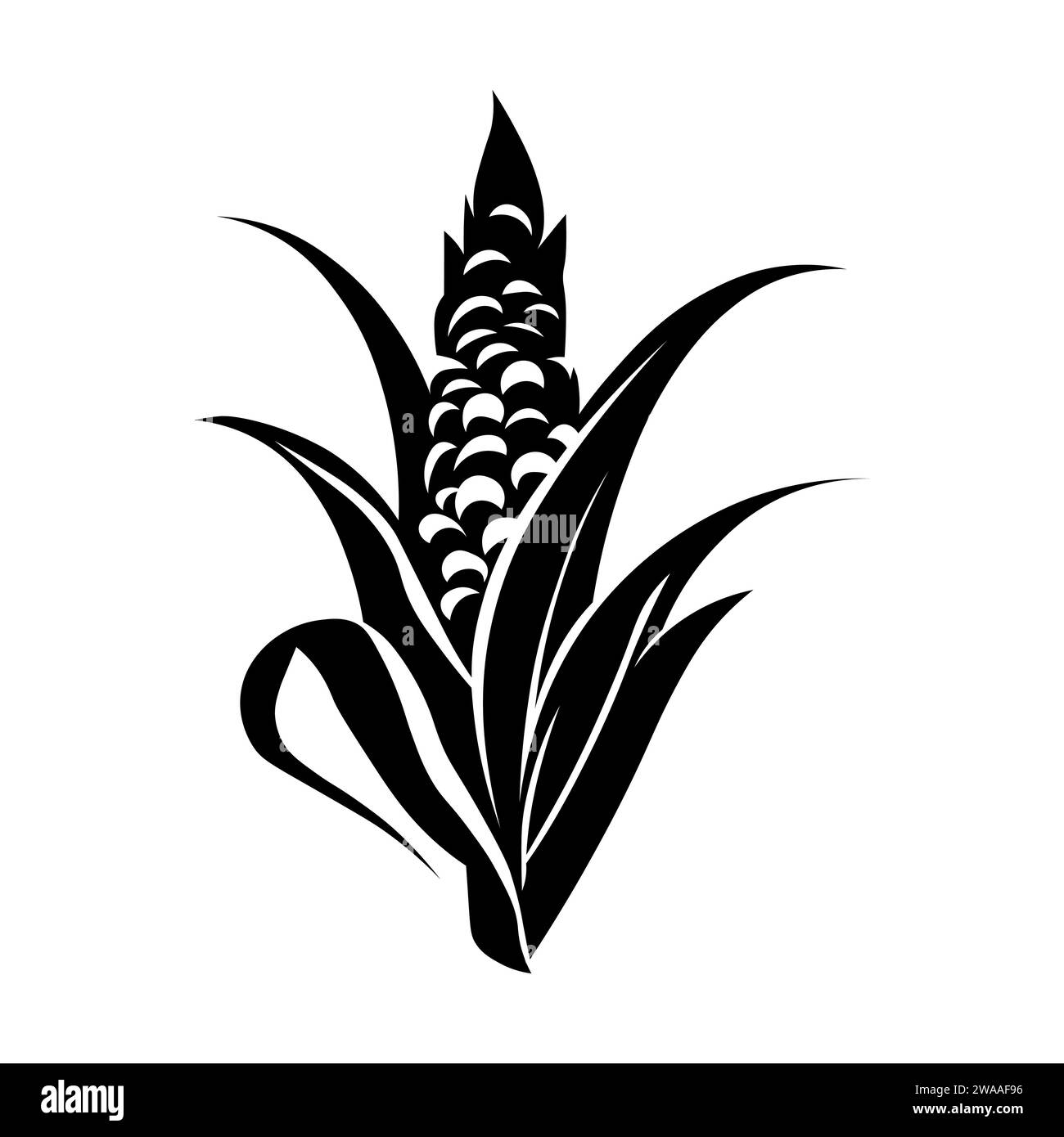 Corn black vector icon on white background Stock Vector Image & Art - Alamy