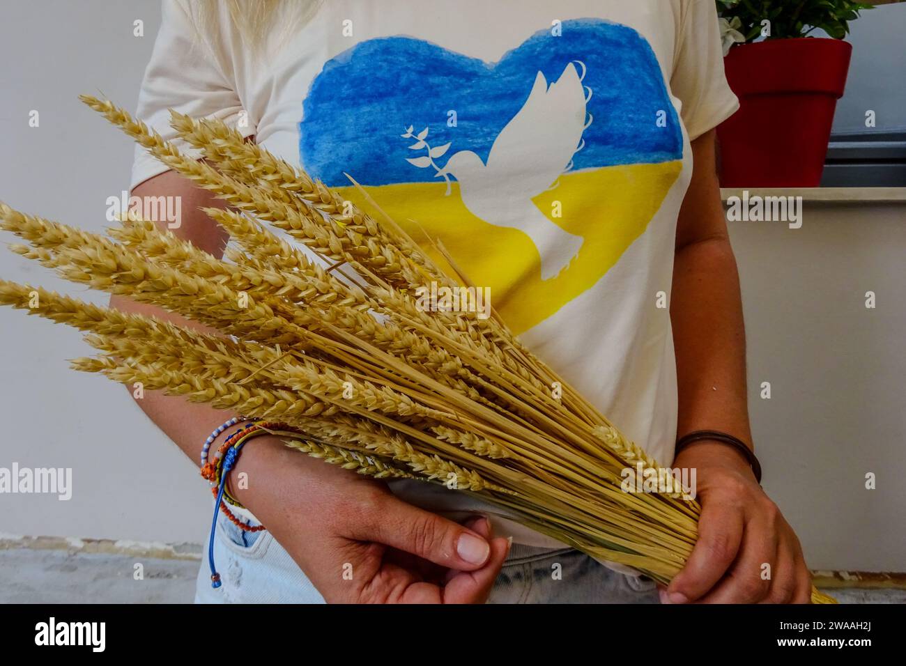 Ukraine free hi-res stock photography and images - Alamy