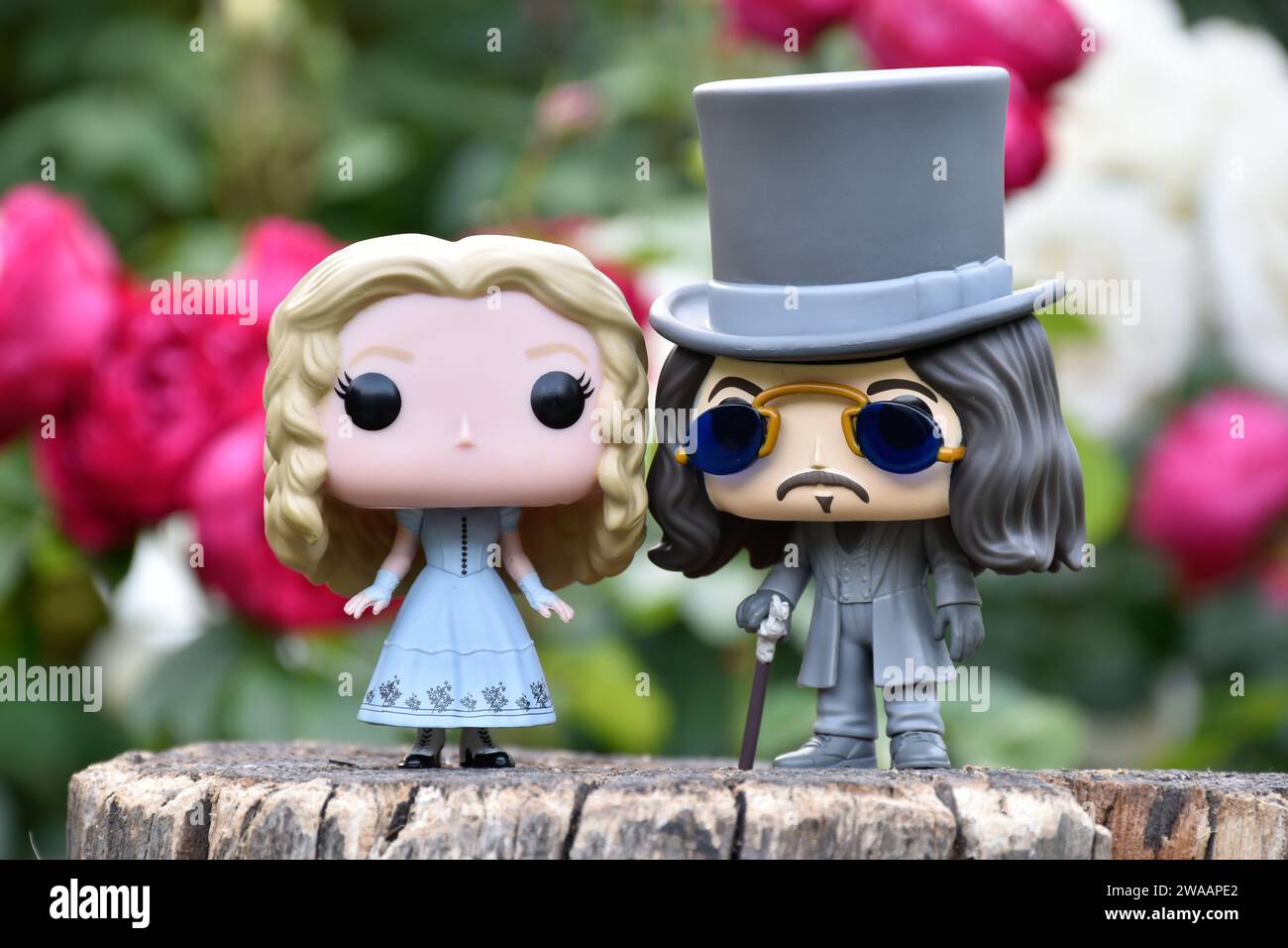 Funko Pop action figures of Alice in Wonderland from Tim Burton fantasy movie and Bram Stoker's Dracula vampire prince Vlad. Red and white roses. Stock Photo