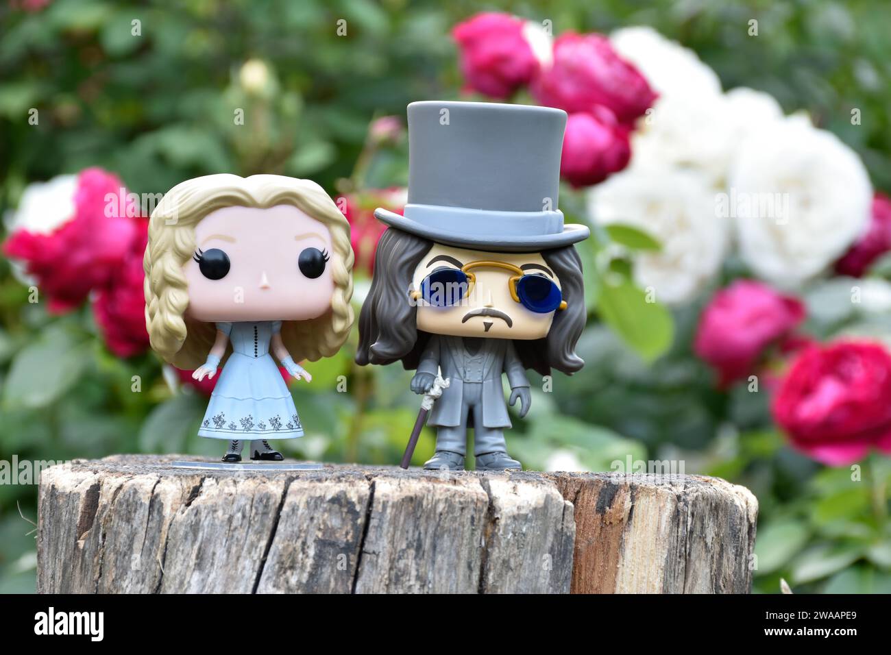 Funko Pop action figures of Alice in Wonderland from Tim Burton fantasy movie and Bram Stoker's Dracula vampire prince Vlad. Red and white roses. Stock Photo