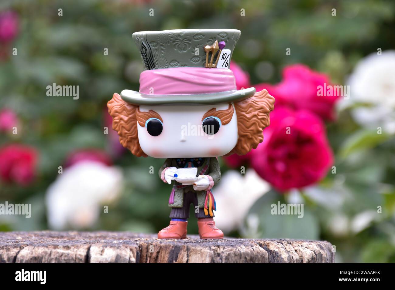 Funko Pop action figure of Mad Hatter from Tim Burton fantasy movie Alice in Wonderland. Red and white roses, green leaves, garden, wooden stump. Stock Photo