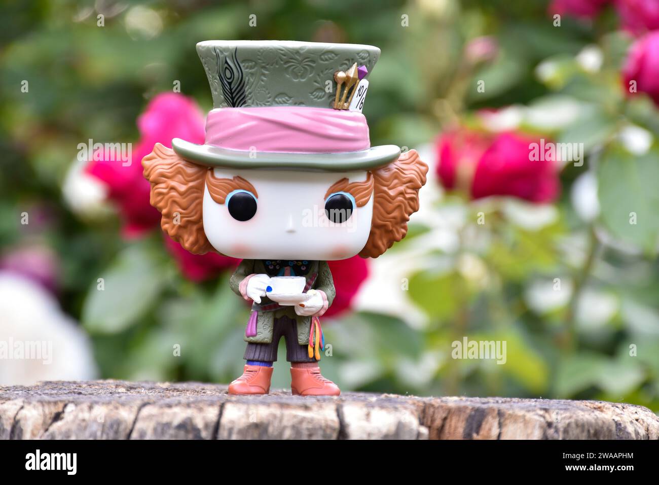 Funko Pop action figure of Mad Hatter from Tim Burton fantasy movie Alice in Wonderland. Red and white roses, green leaves, garden, wooden stump. Stock Photo
