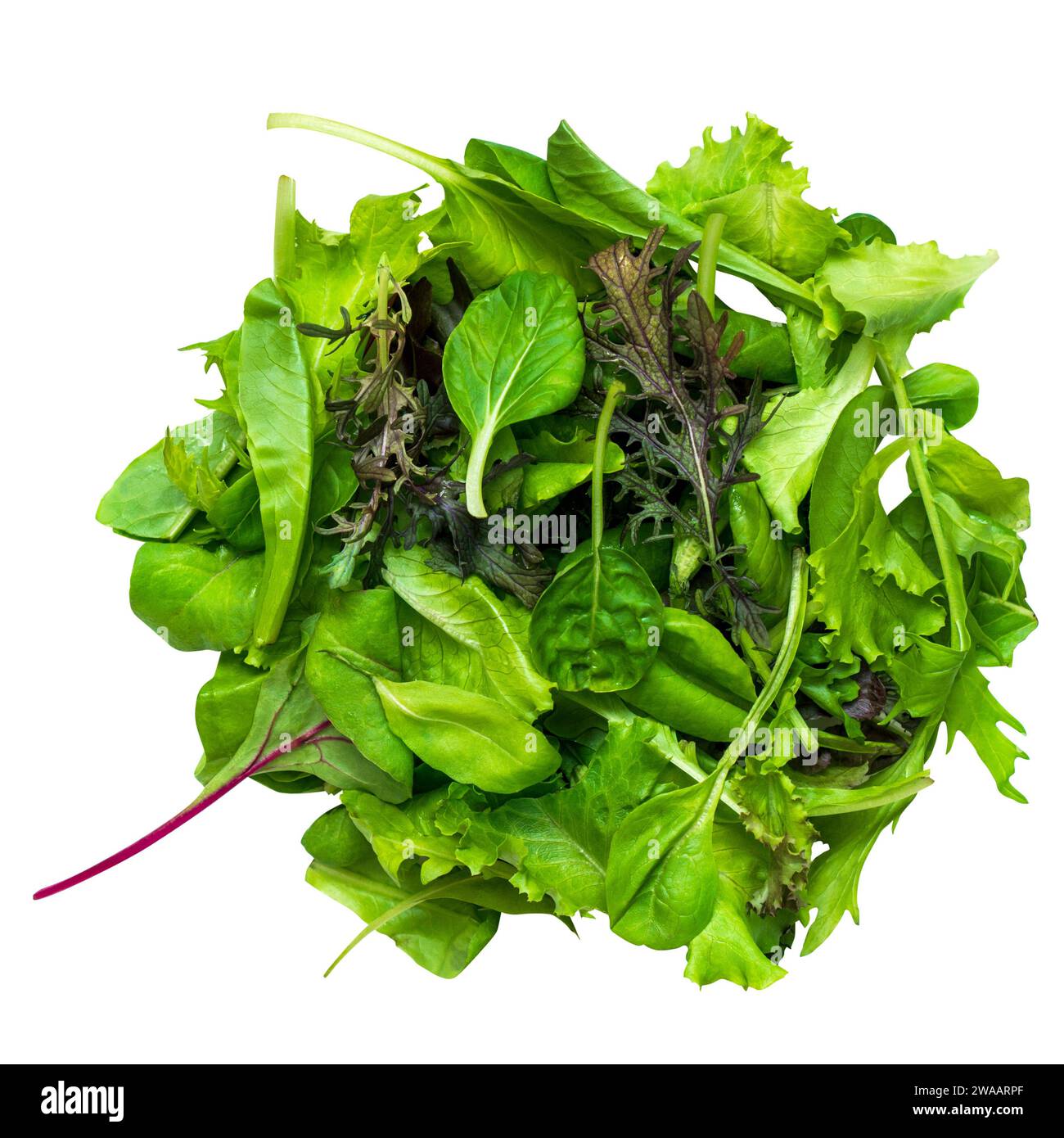 Salad mix with rucola, lettuce, shpinach isolated on white background. Stock Photo