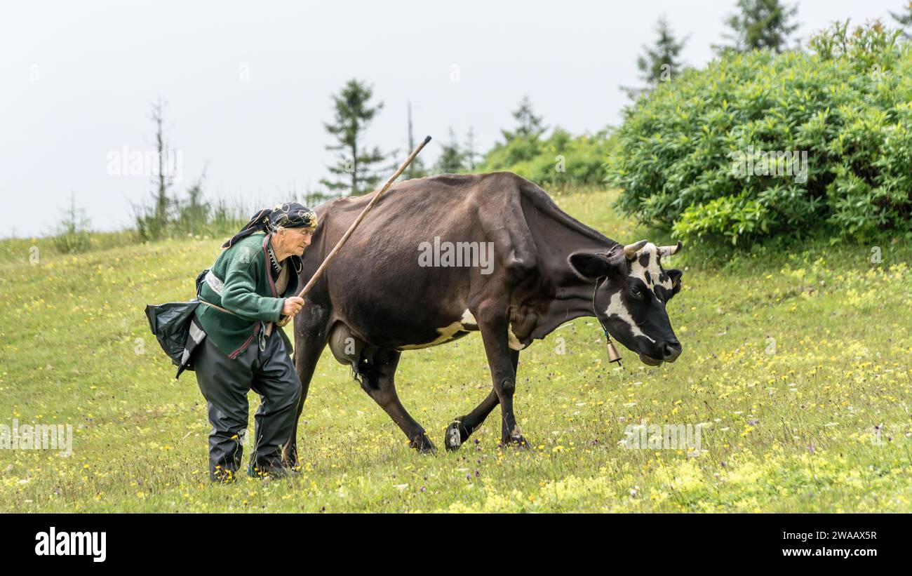Rize, Turkiye - 24 October 2023: A senior woman dressed in traditional ...