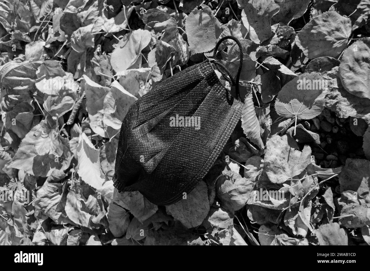 Since October 28th face masks are obligatory in public transport and in