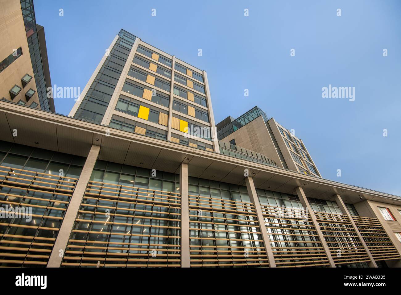 The Louisa Martindale building at the Royal Sussex County Hospital in