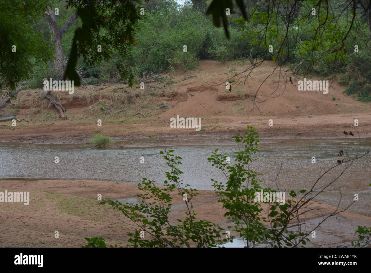 The mighty,Limpopo river in Kruger National Park South africa the ...