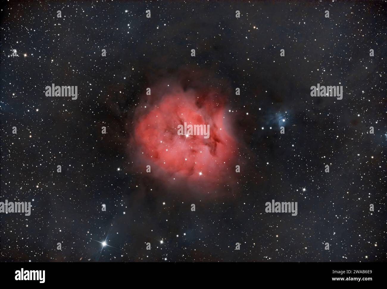 Cocoon Nebula Cocoon Nebula Hi Res Stock Photography And Images