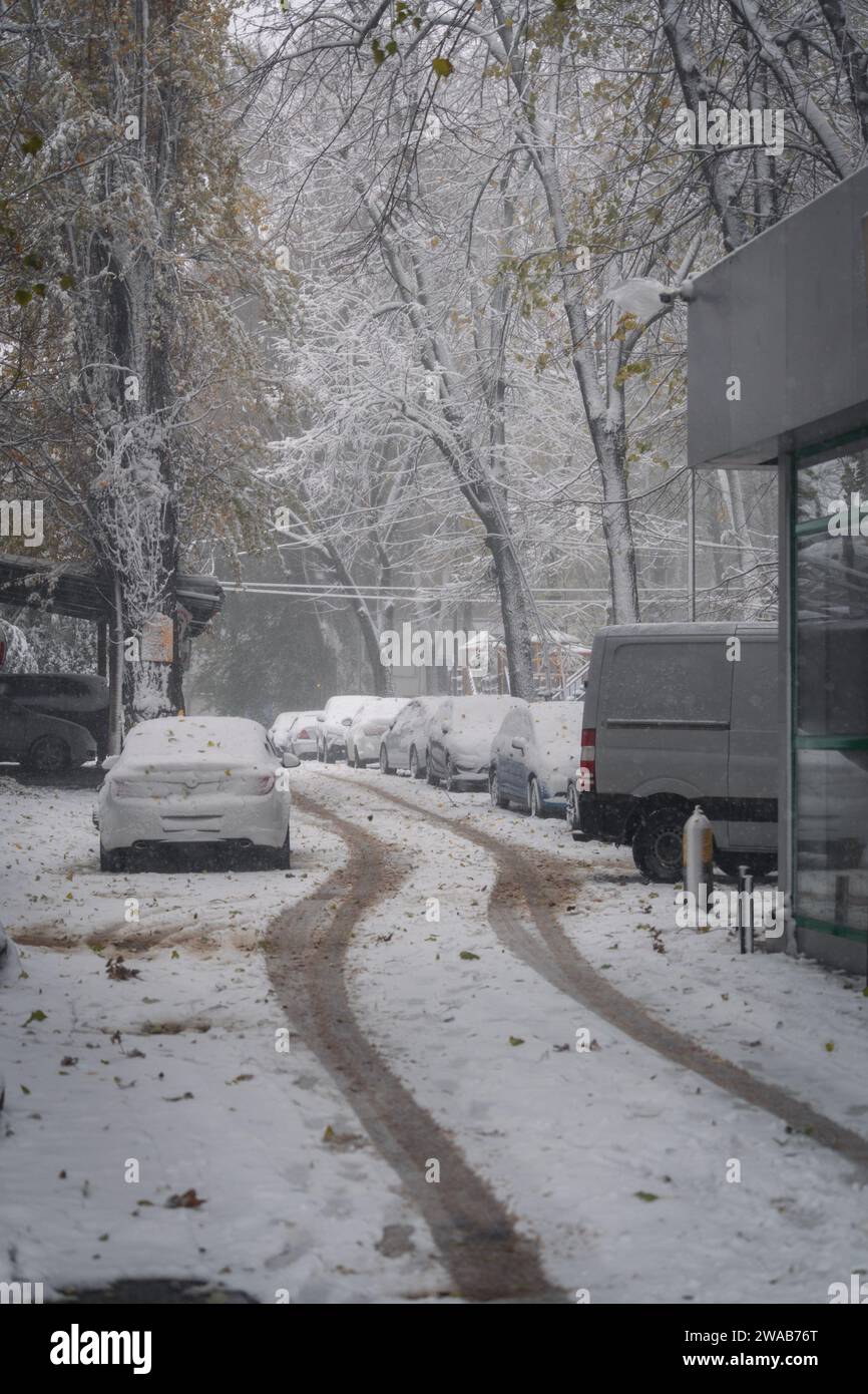 Snow-covered parked cars on a city street in winter Stock Photo - Alamy