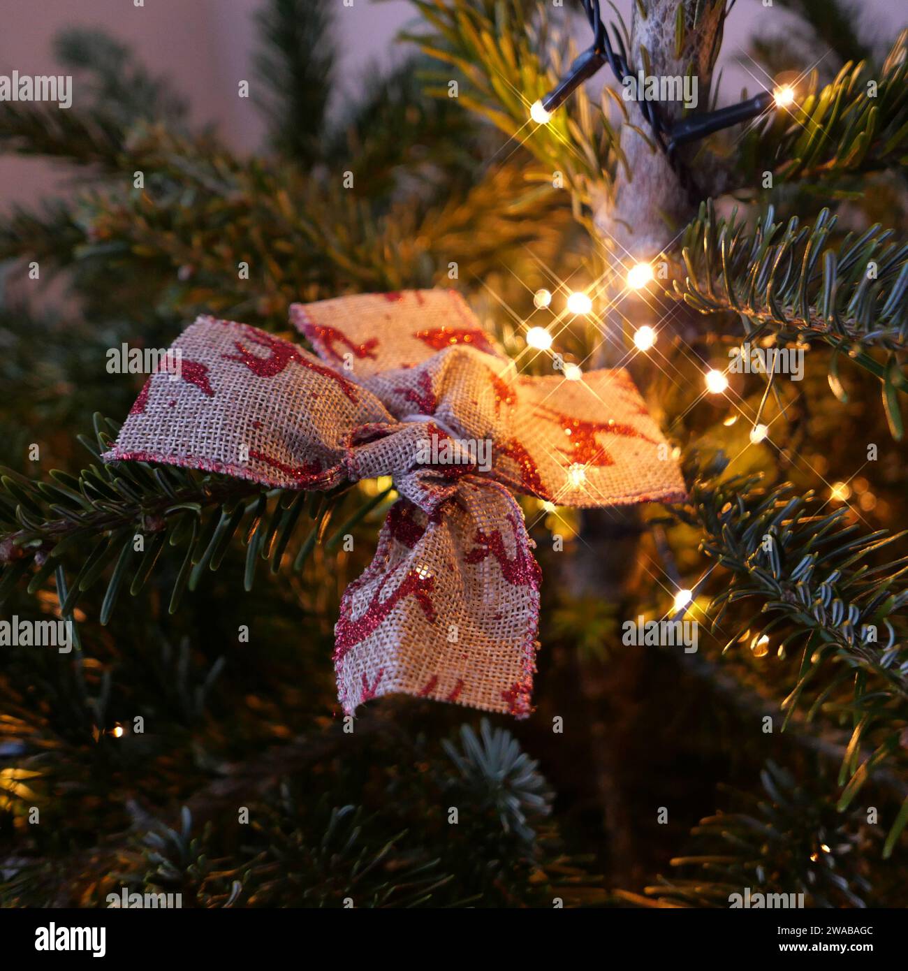 Christmastree bauble hi-res stock photography and images - Alamy
