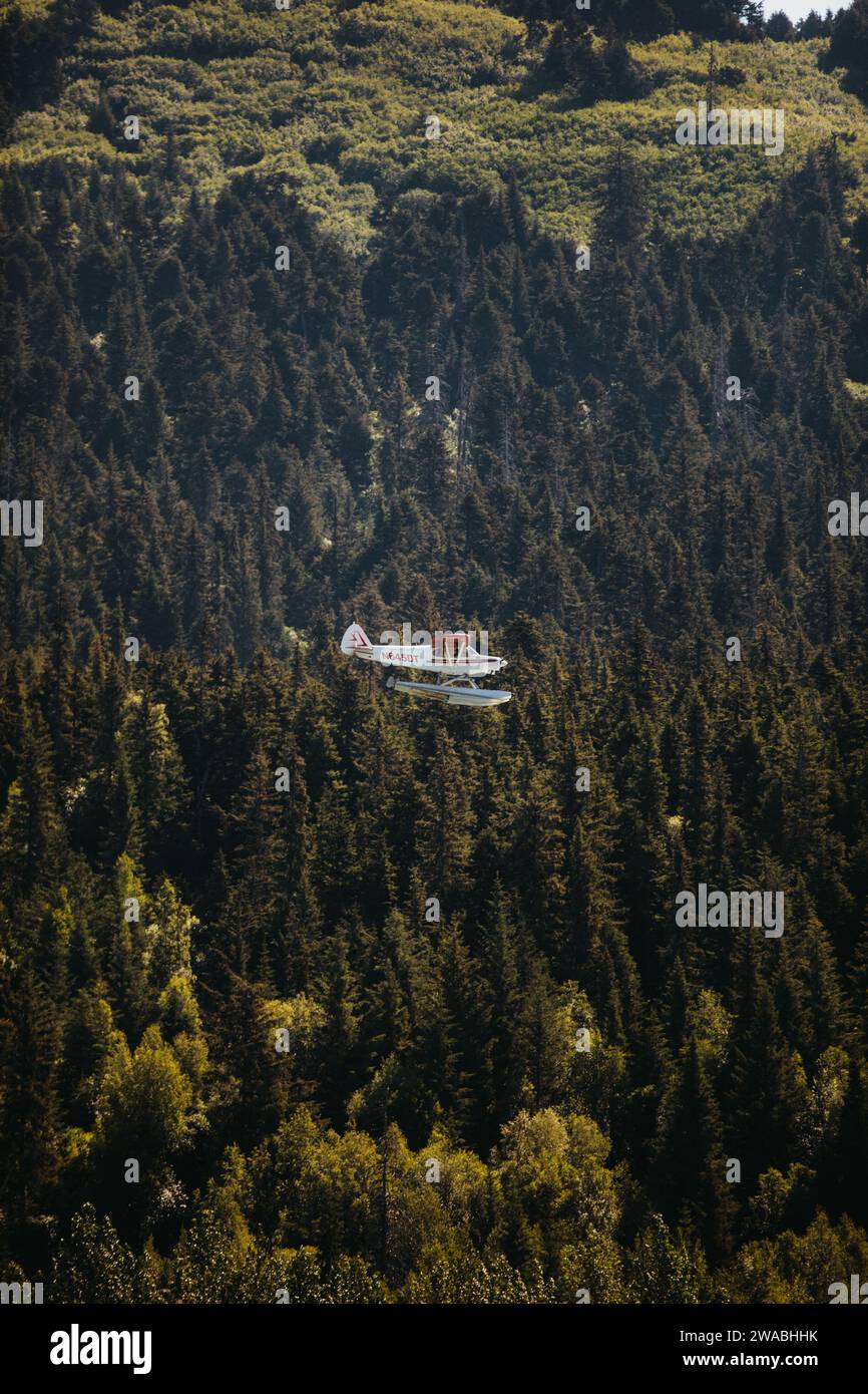 Seaplane flies in front of a tree covered mountain in Alaska Stock Photo Alamy