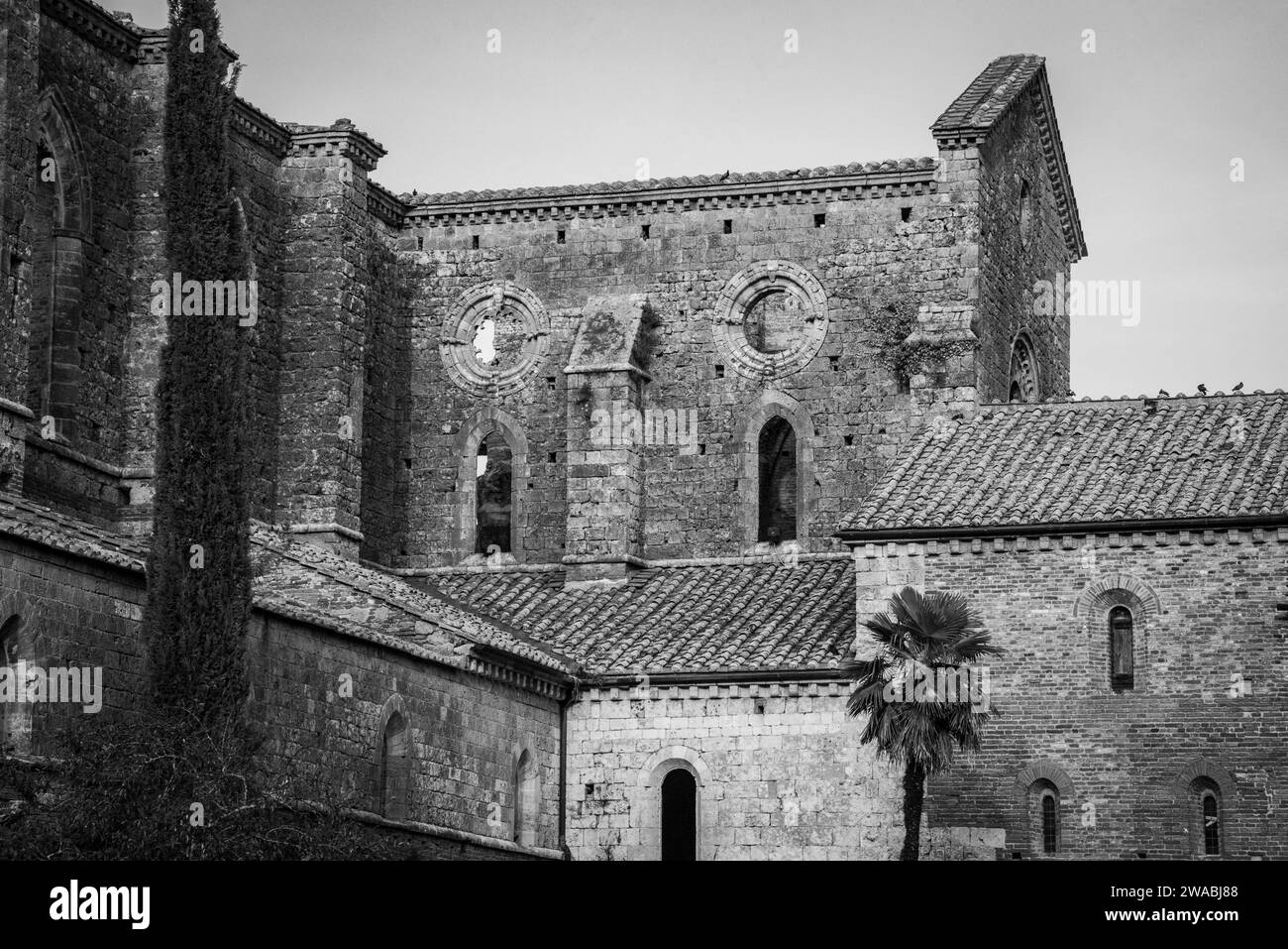 Ruin of the medieval Cistercian monastery San Galgano in the Tuscany, Italy Stock Photo