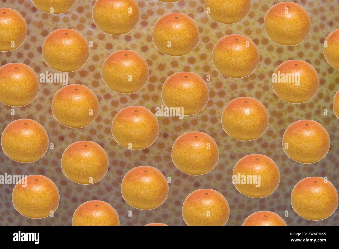 Pattern made of whole ripe ruby grapefruit on its peel abstract background Stock Photo