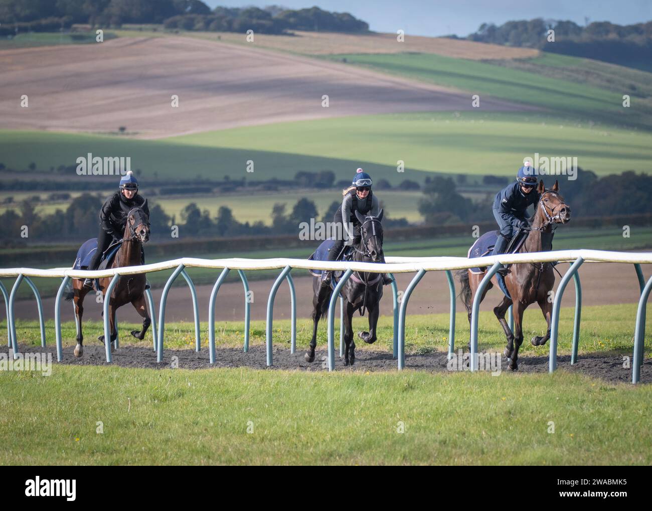 Work riders in lambourn hi-res stock photography and images - Alamy