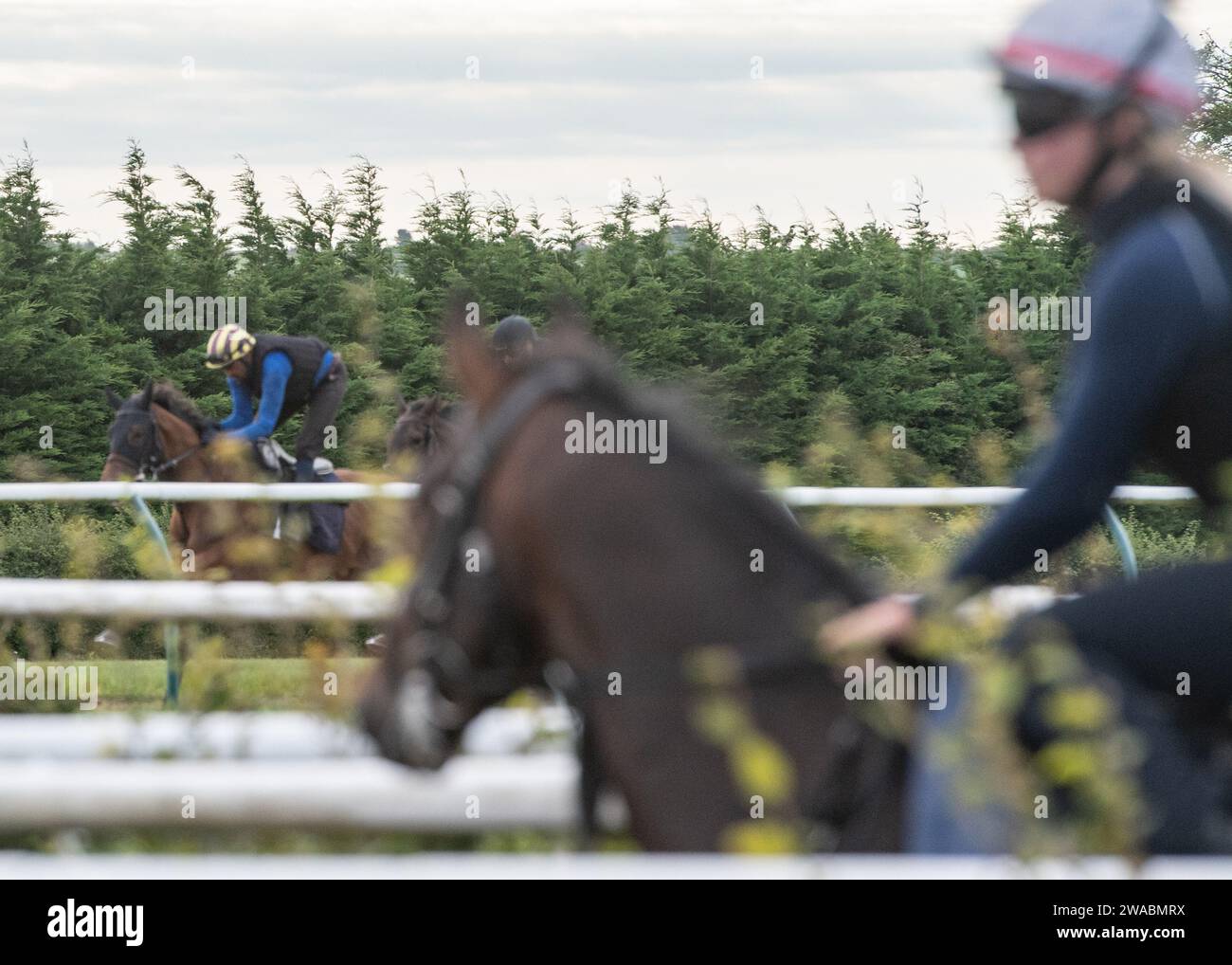 Kings valley race horse hi-res stock photography and images - Alamy