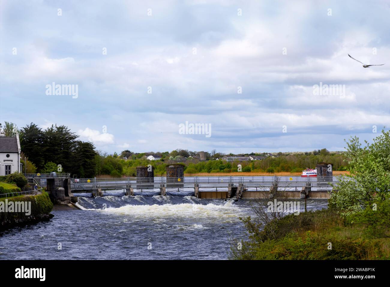 Fisherman on footpath along River Corrib, a popular area for flyfishing, Galway, County Galway, Republic of Ireland. Stock Photo