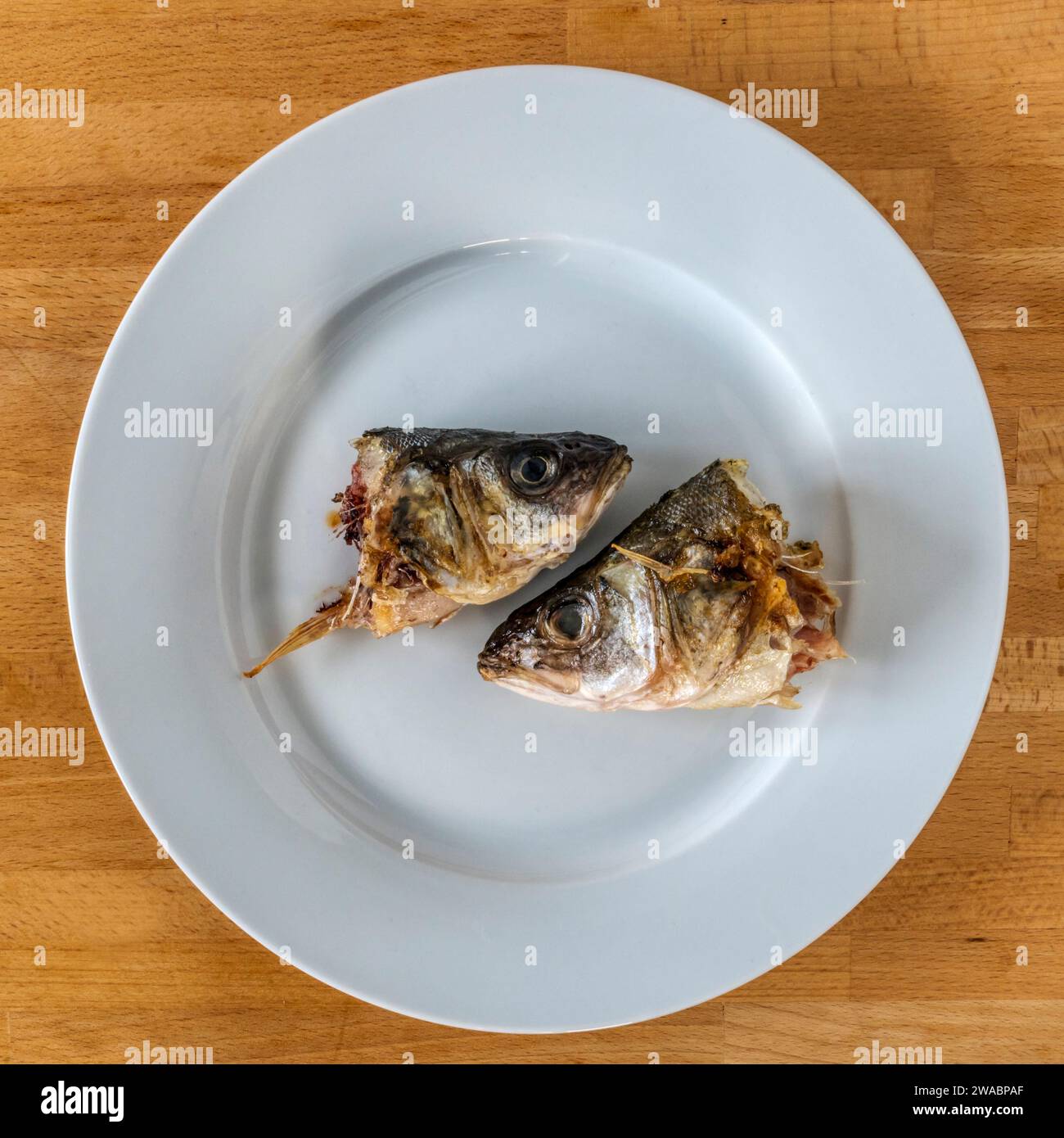 Two sea bass heads on a round white plate. Stock Photo