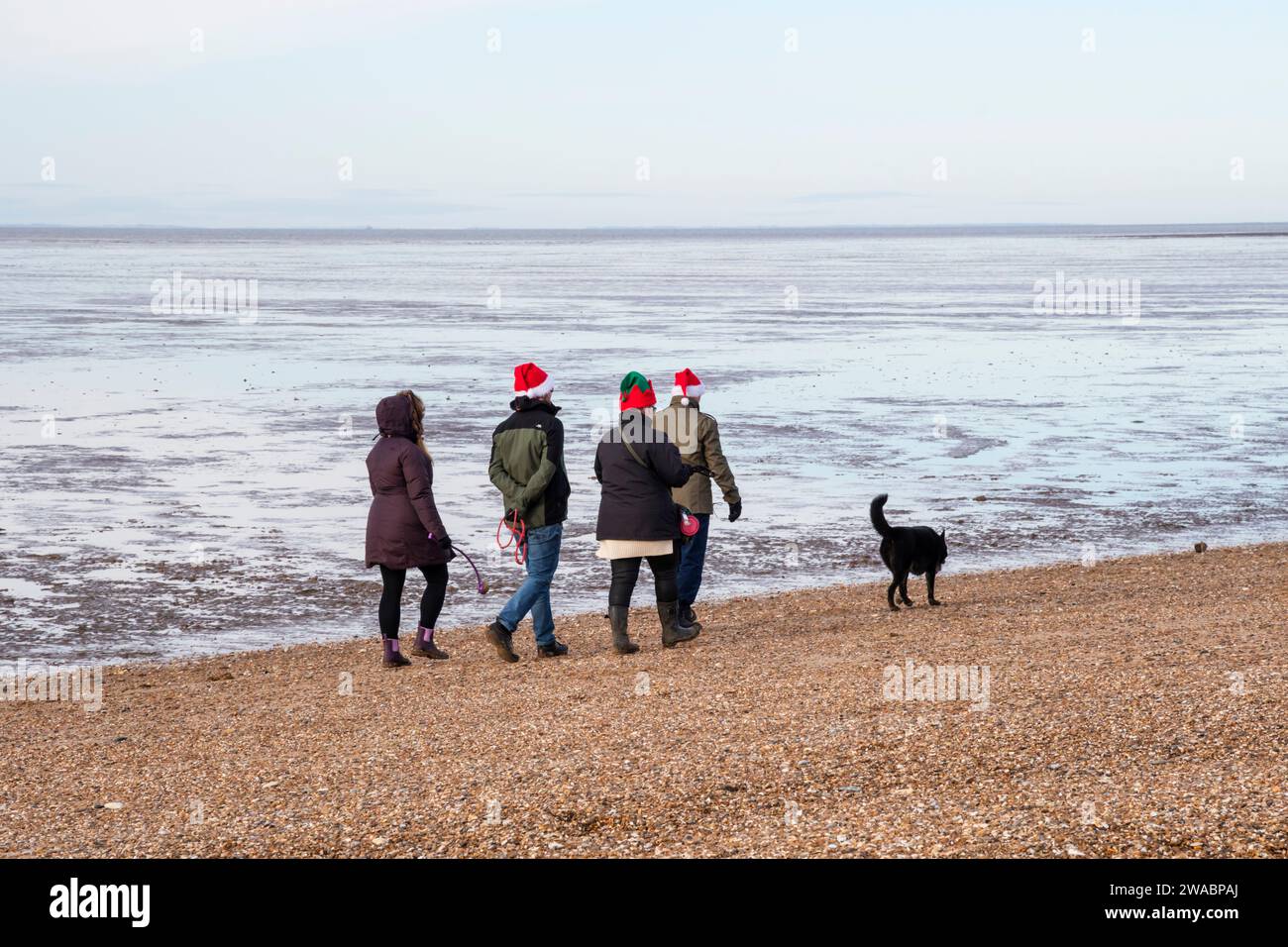 A family group walking the dog on Boxing Day while wearing red Christmas Santa hats.  Snettisham beach on the shores of the Wash, Norfolk. Stock Photo