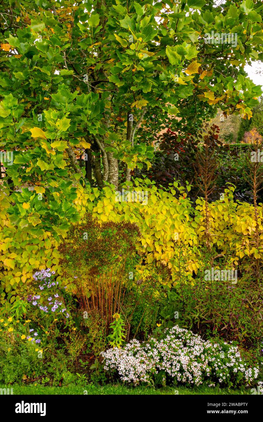 Old english garden elvaston castle hi-res stock photography and images ...