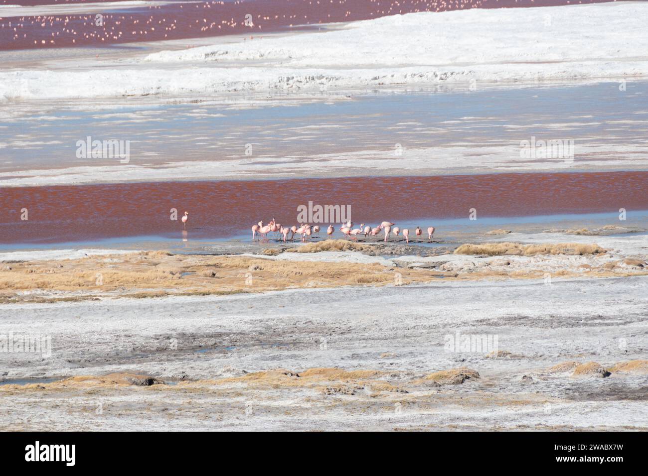 Paisajes de Bolivia Stock Photo - Alamy