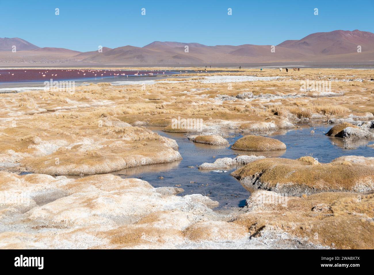 Paisajes de Bolivia Stock Photo