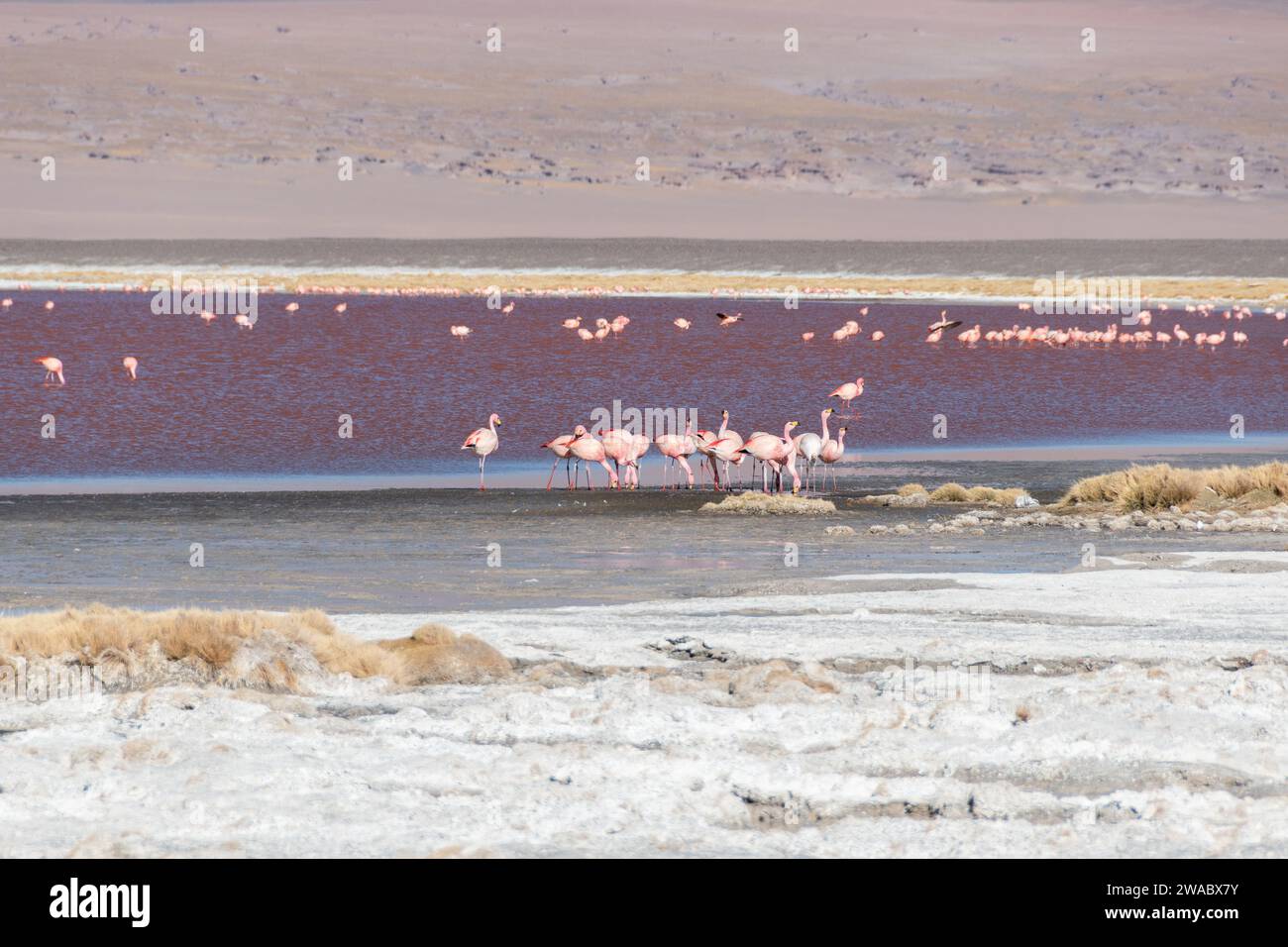 Paisajes de Bolivia Stock Photo - Alamy