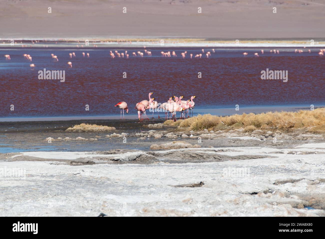 Paisajes de Bolivia Stock Photo - Alamy