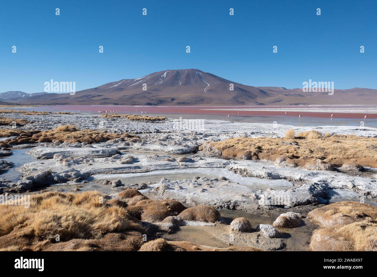 Paisajes de Bolivia Stock Photo - Alamy